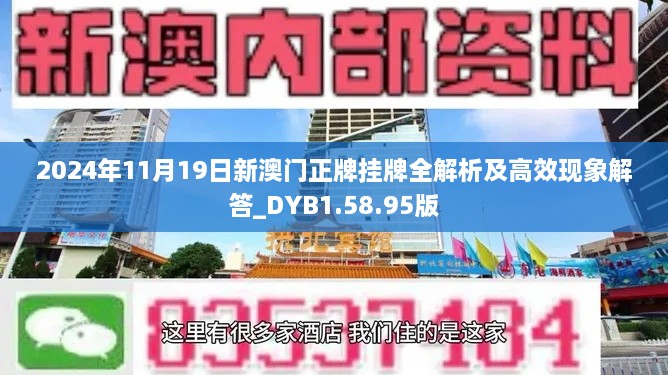 2024年11月19日新澳门正牌挂牌全解析及高效现象解答_DYB1.58.95版