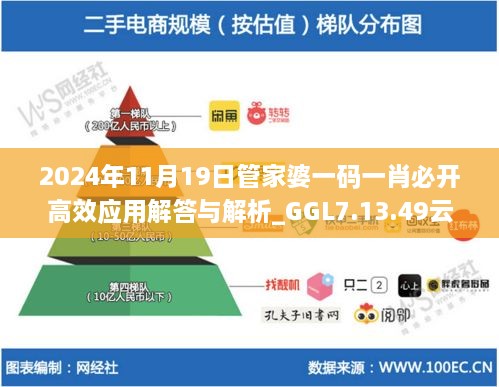 2024年11月19日管家婆一码一肖必开高效应用解答与解析_GGL7.13.49云端版