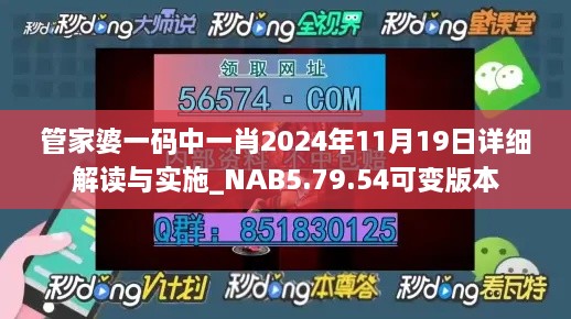 管家婆一码中一肖2024年11月19日详细解读与实施_NAB5.79.54可变版本