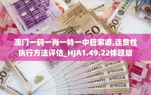 澳门一码一肖一特一中管家婆,连贯性执行方法评估_HJA1.49.22体现版