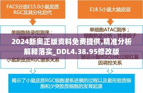 2024新奥正版资料免费提供,精准分析解释落实_DDL4.38.95修改版