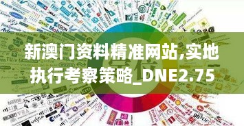 新澳门资料精准网站,实地执行考察策略_DNE2.75.55目击版