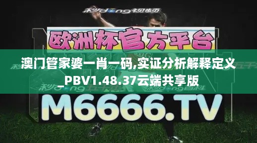 澳门管家婆一肖一码,实证分析解释定义_PBV1.48.37云端共享版