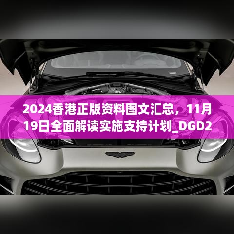 2024香港正版资料图文汇总，11月19日全面解读实施支持计划_DGD2.51.76模块版