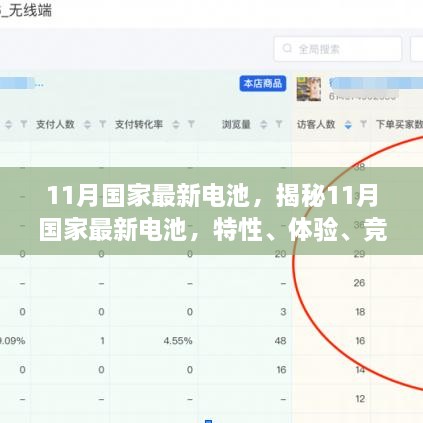 揭秘，11月国家最新电池特性、体验、竞品对比与用户洞察全解析