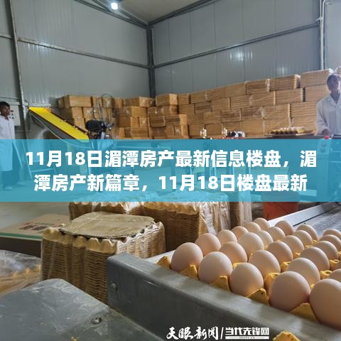 11月18日湄潭房产新篇章，楼盘最新动态概览