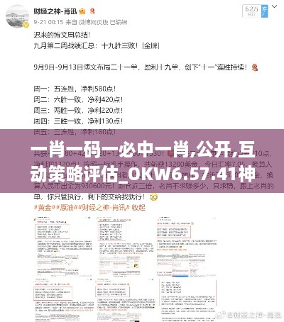 一肖一码一必中一肖,公开,互动策略评估_OKW6.57.41神念境