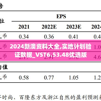 2024新澳资料大全,实地计划验证数据_VST6.53.48优选版