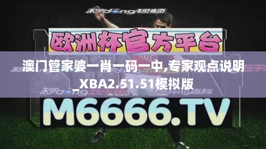 澳门管家婆一肖一码一中,专家观点说明_XBA2.51.51模拟版