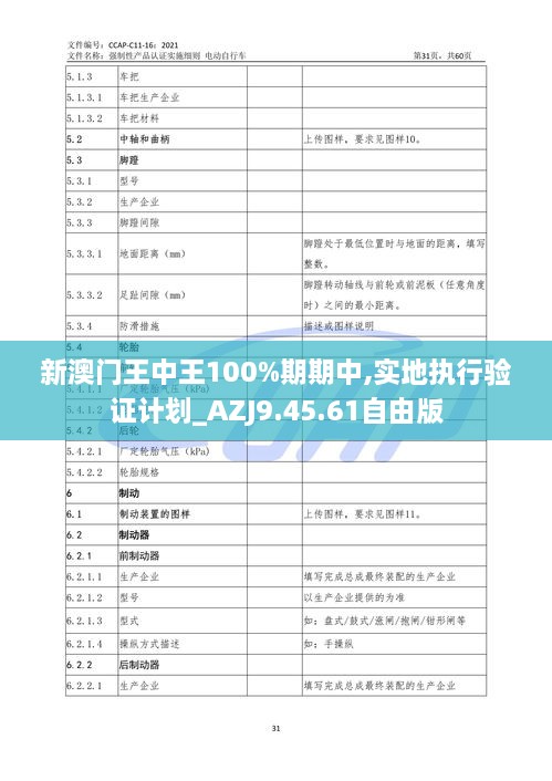 新澳门王中王100%期期中,实地执行验证计划_AZJ9.45.61自由版