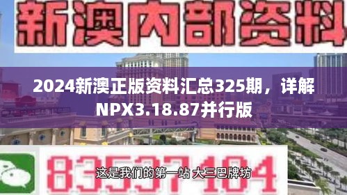 2024新澳正版资料汇总325期，详解NPX3.18.87并行版