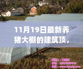 11月19日养猪大棚建筑顶的最新观点与论述