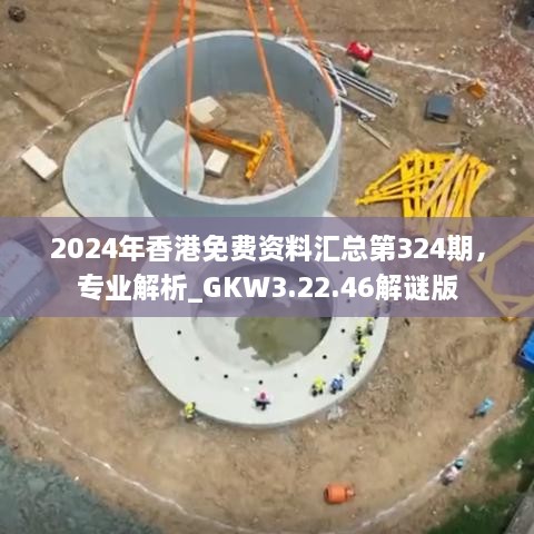 2024年香港免费资料汇总第324期，专业解析_GKW3.22.46解谜版