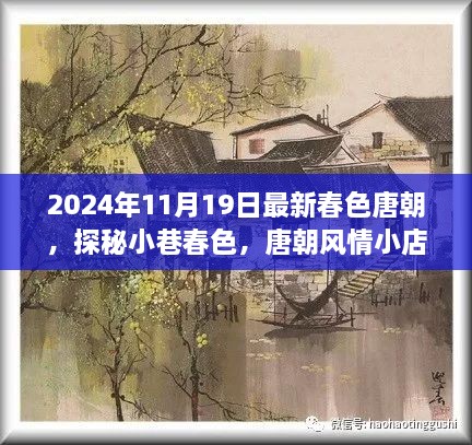 探秘唐朝风情小巷，春色新篇章的独特邂逅（2024年11月19日）