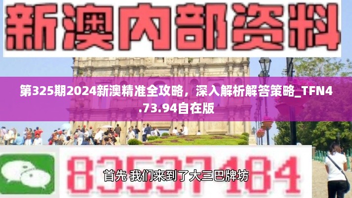 第325期2024新澳精准全攻略，深入解析解答策略_TFN4.73.94自在版