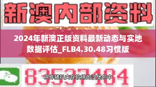 2024年新澳正版资料最新动态与实地数据评估_FLB4.30.48习惯版