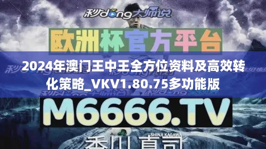 2024年澳门王中王全方位资料及高效转化策略_VKV1.80.75多功能版