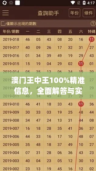 澳门王中王100%精准信息，全面解答与实施指南_BPY7.15.90稳定版