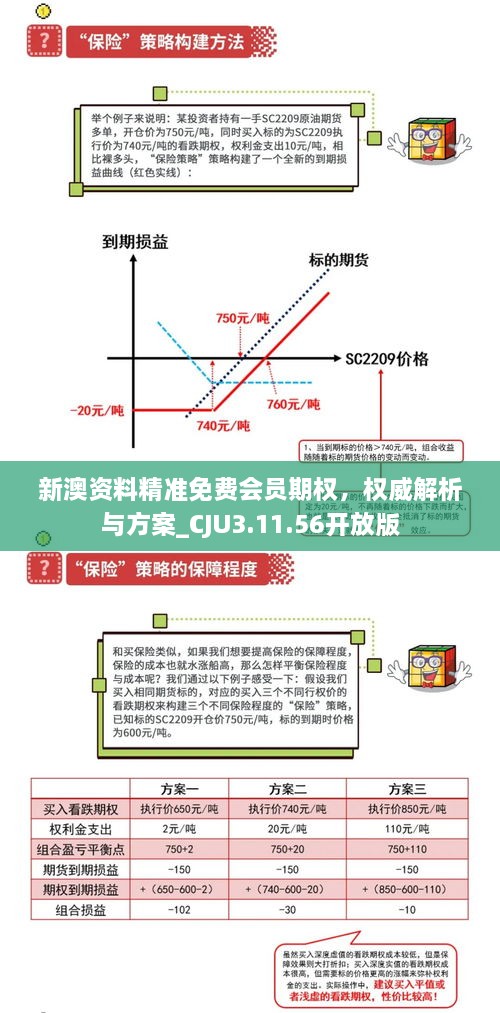 新澳资料精准免费会员期权，权威解析与方案_CJU3.11.56开放版