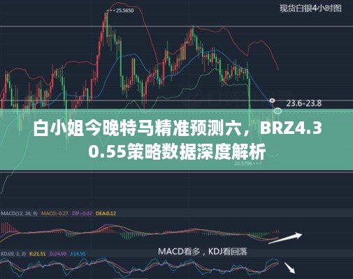 白小姐今晚特马精准预测六，BRZ4.30.55策略数据深度解析