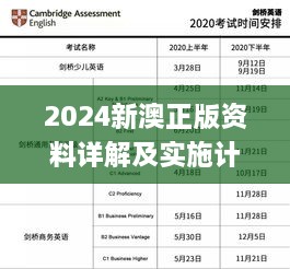 2024新澳正版资料详解及实施计划_SHE7.41.45探索版