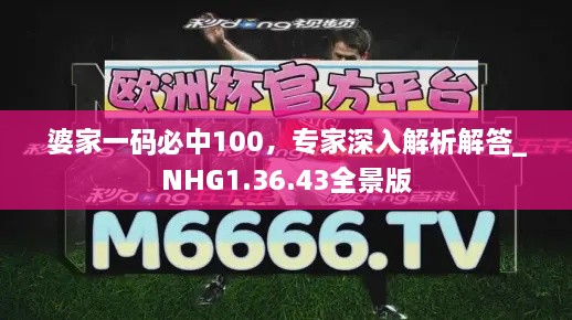 婆家一码必中100，专家深入解析解答_NHG1.36.43全景版