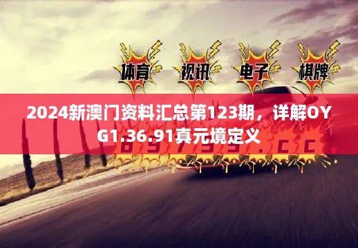 2024新澳门资料汇总第123期，详解OYG1.36.91真元境定义