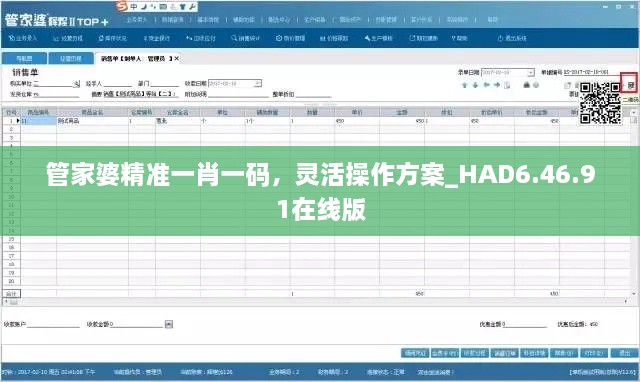 管家婆精准一肖一码，灵活操作方案_HAD6.46.91在线版