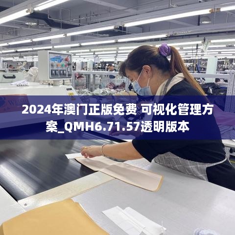 2024年澳门正版免费 可视化管理方案_QMH6.71.57透明版本