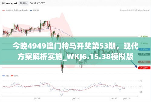 今晚4949澳门特马开奖第53期，现代方案解析实施_WKJ6.15.38模拟版