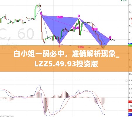 白小姐一码必中，准确解析现象_LZZ5.49.93投资版