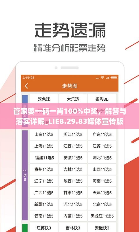 管家婆一码一肖100%中奖，解答与落实详解_LIE8.29.83媒体宣传版