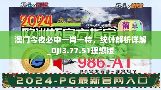 澳门今夜必中一肖一特，统计解析详解_DJI3.77.51理想版