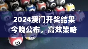 2024澳门开奖结果今晚公布，高效策略规划_KFS6.35.47简易版