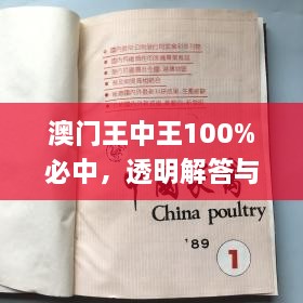 澳门王中王100%必中，透明解答与实施_FZI2.50.89便携版