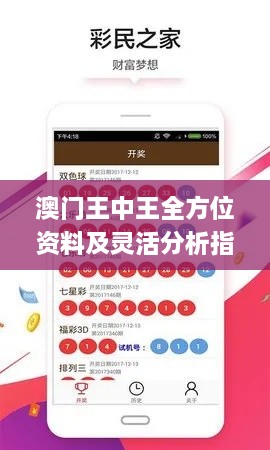 澳门王中王全方位资料及灵活分析指导_YFE8.57.38互联版