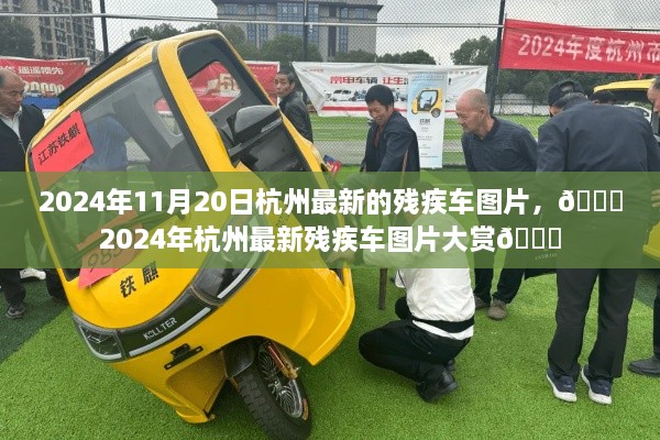 🌟2024年杭州最新残疾车图片展示🚗