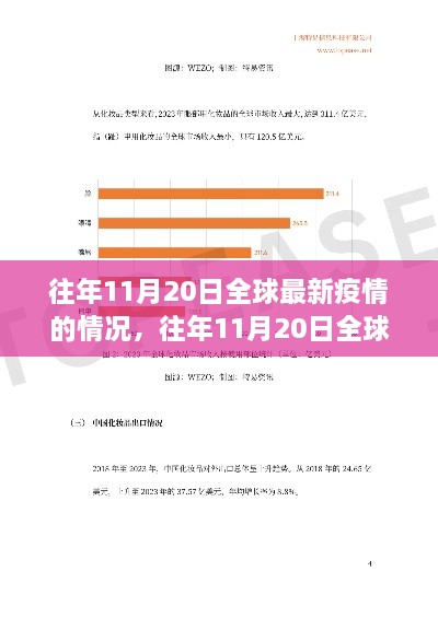 往年11月20日全球疫情最新概况与动态分析