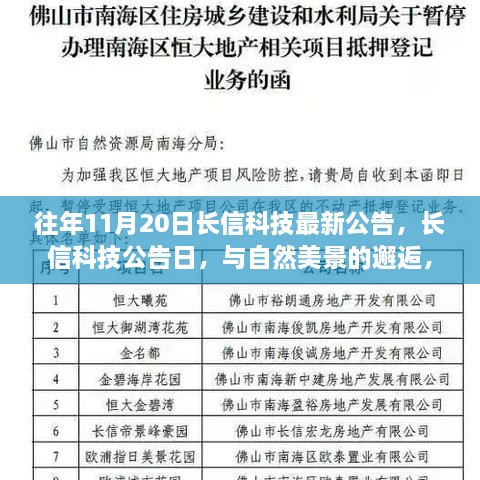 长信科技与自然美景的邂逅，寻找内心的宁静与平和之旅