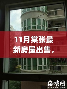 11月棠张最新房屋出售，全面评测与详细介绍