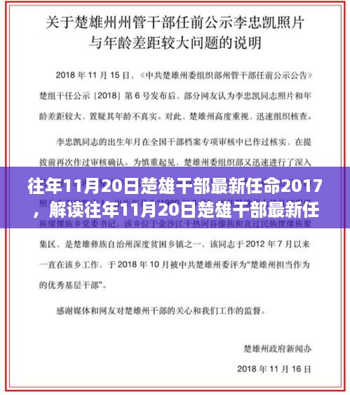 解读与洞察，往年11月20日楚雄干部最新任命深度探讨（2017年）