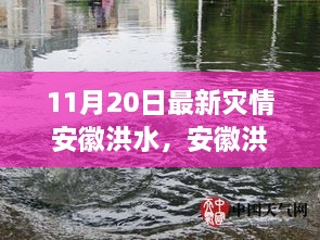 安徽洪水最新灾情报告，11月20日的坚守与希望