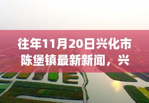 兴化市陈堡镇十一月二十日新闻回顾，时光印记