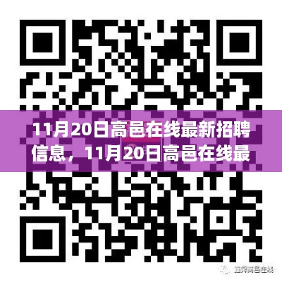 11月20日高邑在线最新招聘信息全攻略，轻松掌握求职技巧