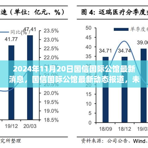 国信国际公馆最新动态报道，未来规划与市场关注焦点（最新消息，2024年11月20日更新）