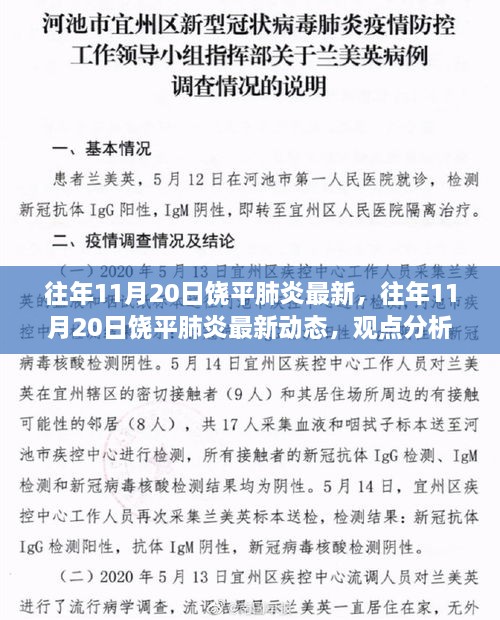 往年11月20日饶平肺炎最新动态及观点分析与个人立场探讨