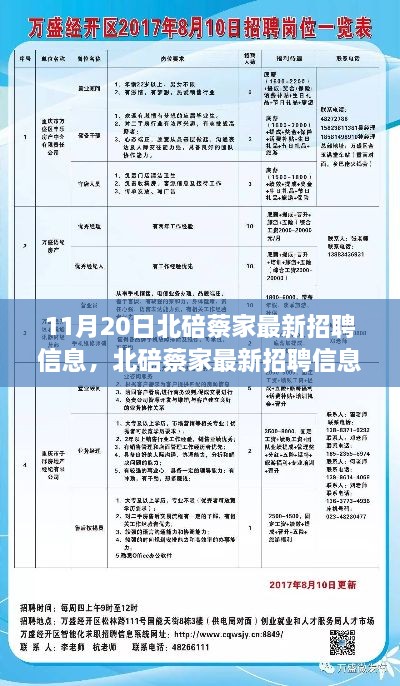 北碚蔡家最新招聘信息全攻略，初学者与进阶用户轻松获取职位机会！