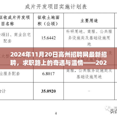 求职奇遇与温情，高州招聘网最新招聘动态