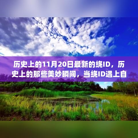 历史上的11月20日最新的绕ID，历史上的那些美妙瞬间，当绕ID遇上自然美景，一场寻找内心平静的奇妙旅程