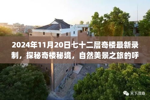 2024年11月20日七十二层奇楼最新录制，探秘奇楼秘境，自然美景之旅的呼唤与启程